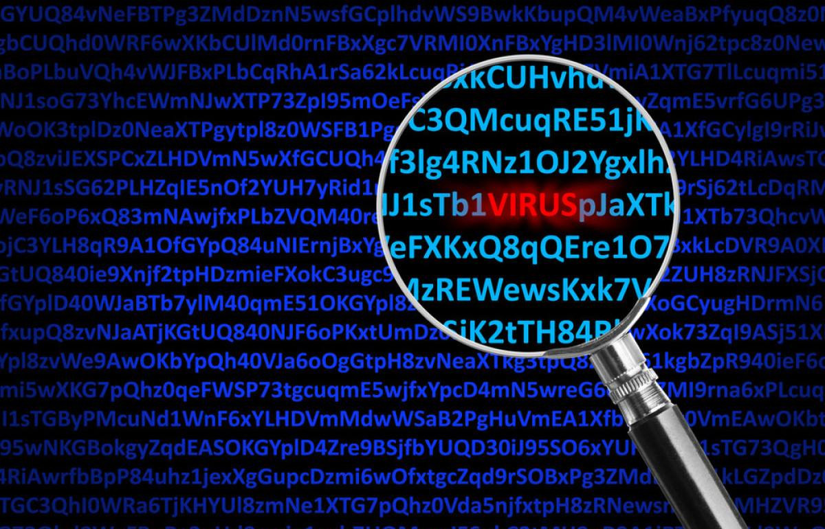 防护了解网络安全点要做到哪些_网络安全的防护_