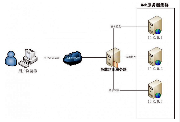 集群分布属于种群的什么特征__种群集群型常见的原因